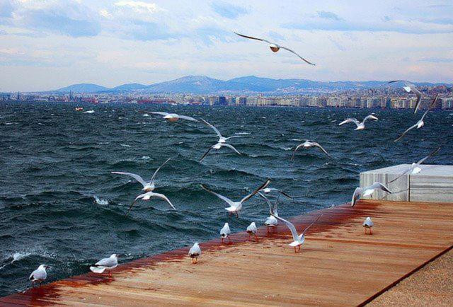 Blue City Center Boutique Apartment Selanik Dış mekan fotoğraf